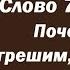 Лекция 101 Почему мы грешим если потом сожалеем об этом Иерей Константин Корепанов