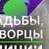 Как появились цыгане Обычаи табора Цыганские свадьбы Наркобароны Гадалки Теория Всего