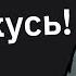 Адвокаты По Разводу Какие Секреты Хранят Друг от Друга Супруги