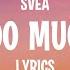 SVEA Too Much Lyrics