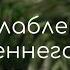 Медитация для расслабления и внутреннего спокойствия Медитация с Наной Вечерняя медитация