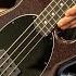 Ernie Ball Music Man StingRay And DarkRay Basses New From NAMM 2024