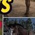 Red Dead Redemption 2 Appaloosa LOCATION ALL COATS STATS GOOD HORSE GUIDE