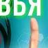 Как укрепить здоровье и повысить иммунитет Простой и доступный способ Станислав Казаков