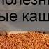 Какие крупы можно давать кошкам полезные и запрещённые каши в рационе