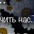 Ти пробач мені що дарую знову ті білі ромашки Влад Комар