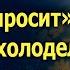 Папа там моя сестренка кушать просит Макар похолодел ведь у него только один ребенок