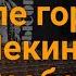 Владимир Высоцкий Возле города Пекина Хунвейбины РАЗБОР кавер