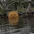 Scary Stuff In The Florida Keys Backcountry Fish At Your Own Risk