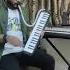 Why This Kolaveri Di Melodica Cover