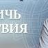 Как достичь спокойствия в жизни На что влияют любовь и осознанность Валерий Синельников