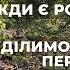 У садку завжди є робота Ділимо астільби та пересаджуємо папороті