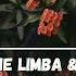 The Limba X Andro X O Lyric Video