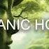 Best New Organic House April 2024