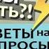 ОТВЕТЫ НА ВОПРОСЫ 2 Тадас Пупкявичюс Литва Пром пасека в Европе на 145 рамку Рахматулин Матюшкин