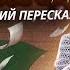 М Е Салтыков Щедрин История одного города краткий пересказ для ЕГЭ по литературе I Умскул