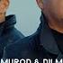 Elmurod Ft Dilmurod Qosimov Bevafo Official Video