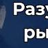 Марк Дуглас Разум над рынком