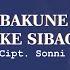 LIRIK Bakune Mo Ibettoh Ke Sibagen I Cipt Sonni Berutu S Th Lagu Pakpak