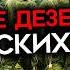 ПОБЕГ ЦЕЛОГО ПОЛКА История 20й дивизии из которой сбежало 1010 человек Дезертирство в армии РФ