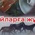 2 БӨЛІМ АДАЙЛАРДЫҢ ЖАУАБЫ ҚАРАШ ЫБЫРАЙЫМ АХУН ШАРИҒАТ ЖЫР ТЕРМЕ РЕЙІМ ЖЫРАУ