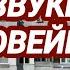 437 Ответ шумным соседям Звуки человейника