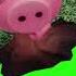 RAISE A FLOPPA STARVE THE FLOPPA TO DEATH Don T Mind The Roblox Piggy Character