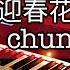 迎春花 Ying Chun Hua Springs Blossoms Teresa Teng PianoCover