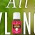 All About Ylang Ylang Young Living Essential Oils