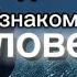 Беззубик Дневная фурия Два не знакомых человека Чит опис