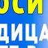 НЕ ВЗДУМАЙ ПРОПУСТИТЬ АКАФИСТ КАЗАНСКОЙ БОГОРОДИЦЫ ОТ БЕД И НЕСЧАСТИЙ МОЛИТВА КАЗАНСКОЙ ИКОНЕ