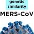 MERS CoV And SARS CoV 2 COVID 19