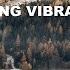 INSPIRING VIBRATIONS EPISODE 113 Progressive House Deep House Mix