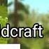 WildCraft Tik Toks Because Why Not 3