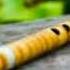 Bansuri Ringtone New Bansuri Ringtone Song Flute Ringtone New Flute Ringtone Ringtone 2022