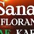 Sana By FLORANTE Reggae Karaoke