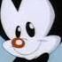 Mary Tyler Dot Animaniacs CC