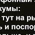 Что сделала кума на рыбалке Сборник анекдотов Юмор Позитив