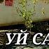 Уй САТЫЛАДЫ ТЕЗ АРАДА тахиаташ каракалпакистан бахасы цены продам сатамын жай уй сатылат купить