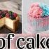 39 Type Of Cake Flavours Different Types Of Cake Flavours Sadiya S Cakeistry