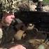 GPMG The World S Deadliest Machine Gun