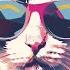 Kitty Kitty Meow Wow Summer Chill Mix