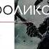 Музыка для роликов Подборка из Самых Мощных и Красивых Треков Эпическая Музыка