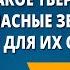 Что такое твёрдые и мягкие согласные звуки и какие буквы нужны для их обозначения