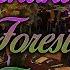 Enchanted Forest Party Decoration Event Decoration Fantasy Designers