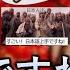 日本人的嘴騙人的鬼 日本語上手ですね 真心還是嘲諷