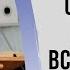 О святости и жертве всесожжения Левит 1 гл Судаков С Н