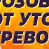 Родиола розовая от утомления тревоги и депрессии