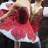 Le Corsaire PDD Variations Coda E Borchenko Ivan Vasiliev