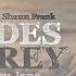 Oliver Heldens Shaun Frank Shades Of Grey Ft Delaney Jane Lyric Video